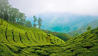 Munnar Top Station, India - via Wikimedia Commons Munnar Top Station, India - via Wikimedia Commons