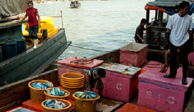 Thai boat workers Thai boat workers
